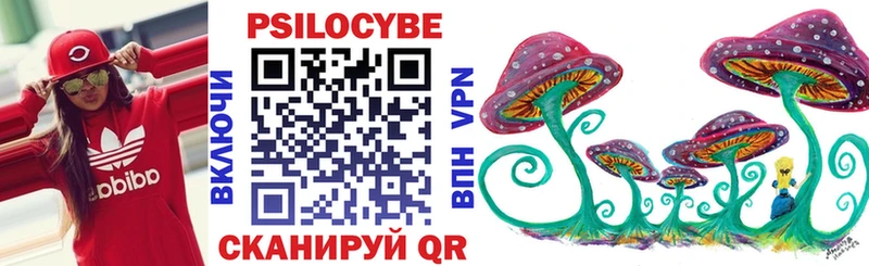 OMG как войти  купить  сайты  Строитель  Псилоцибиновые грибы MAGIC MUSHROOMS 