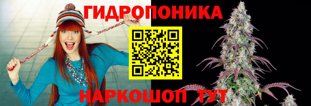Каннабис сатива Строитель